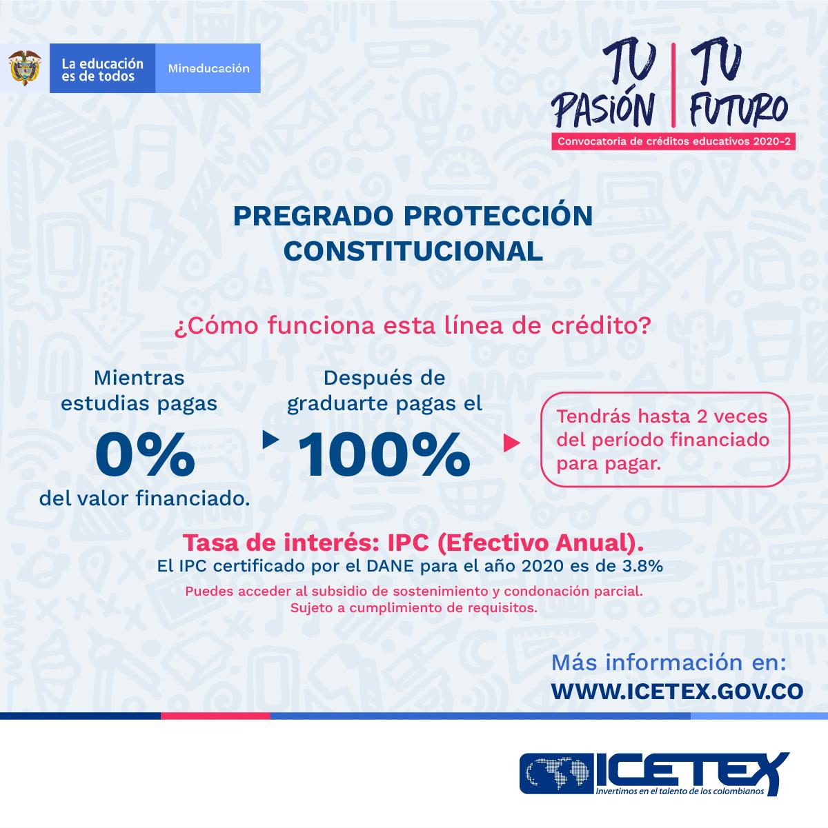 Pregrado protección constitucional