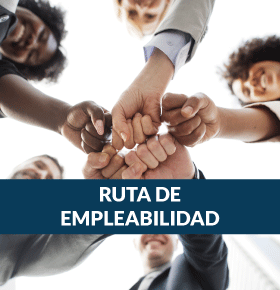 Portal de empleo